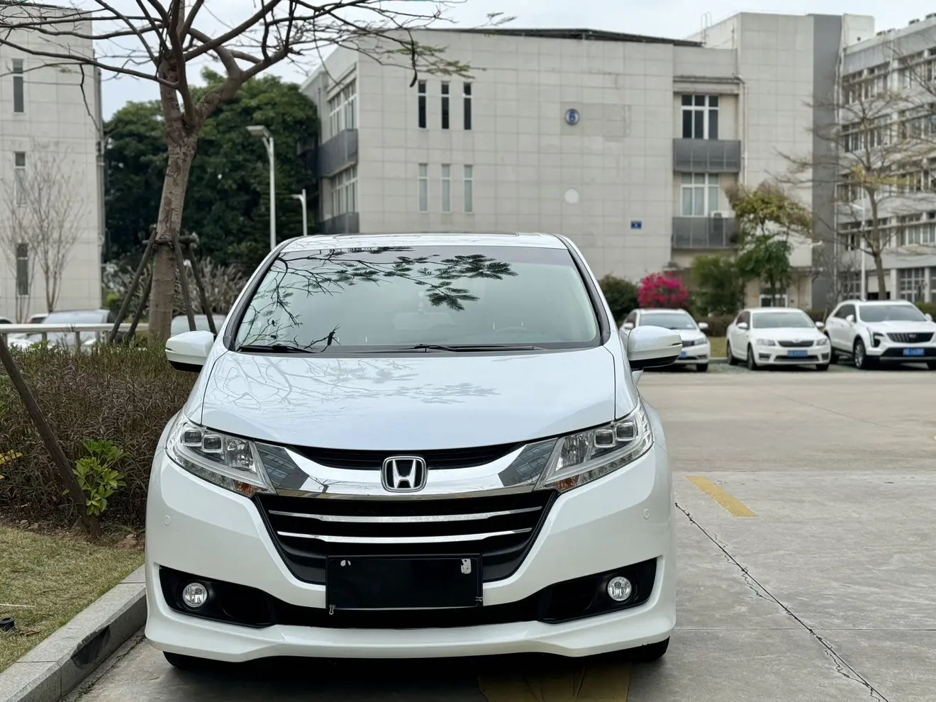 Honda Odyssey  из Китая