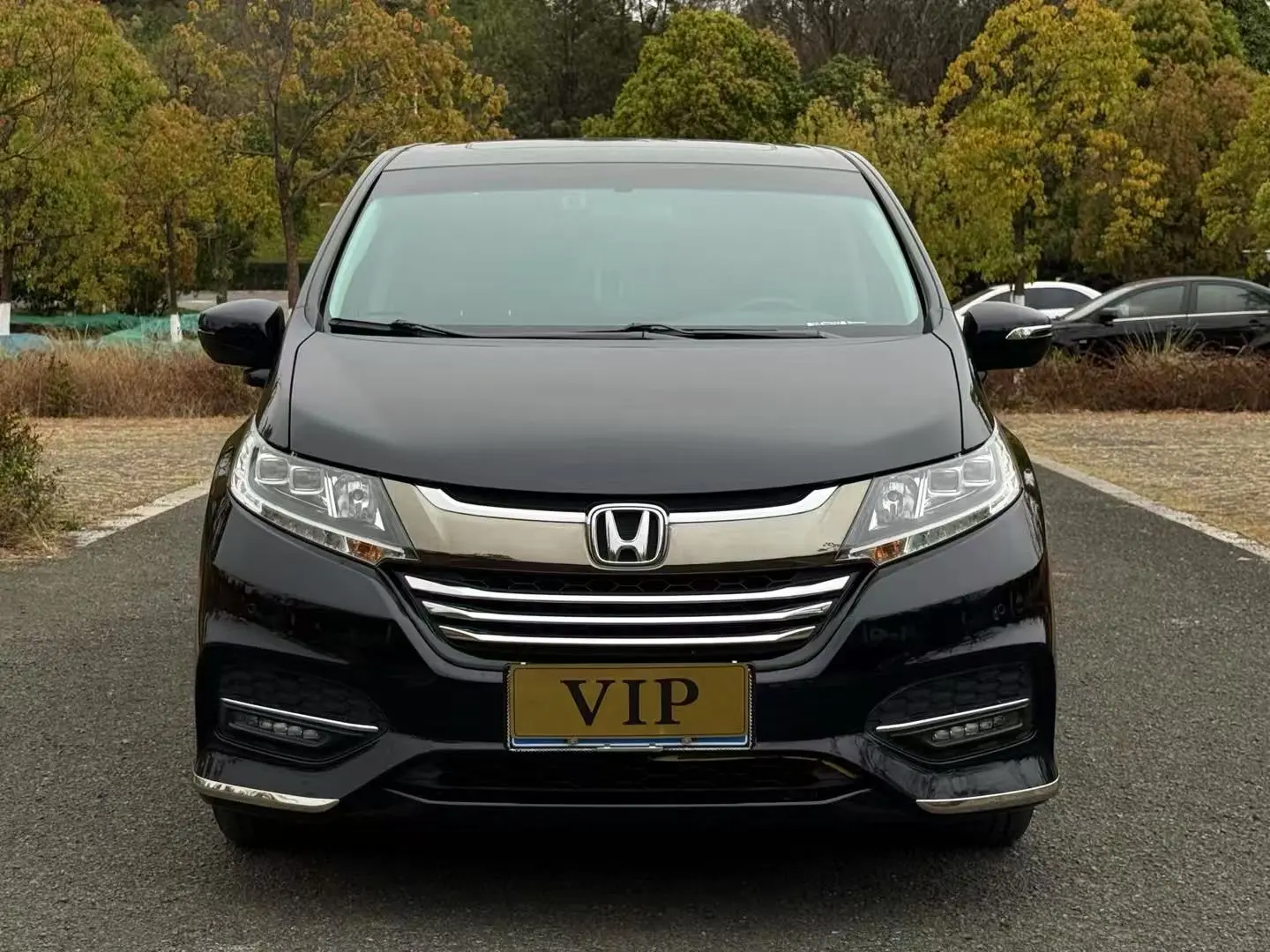 Honda Odyssey  из Китая