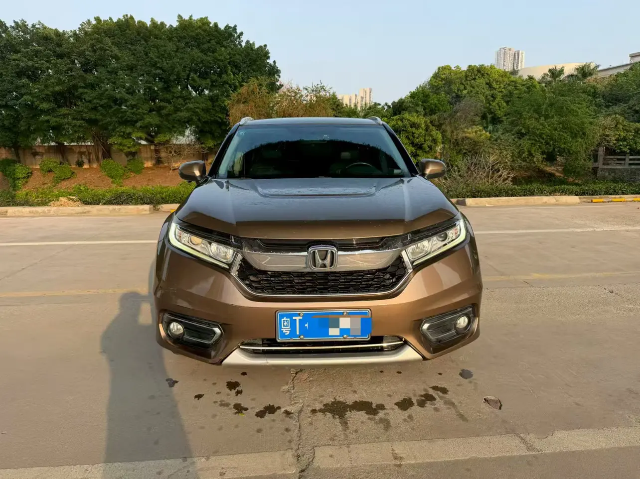 Honda Avancier (Crown Road)  из Китая