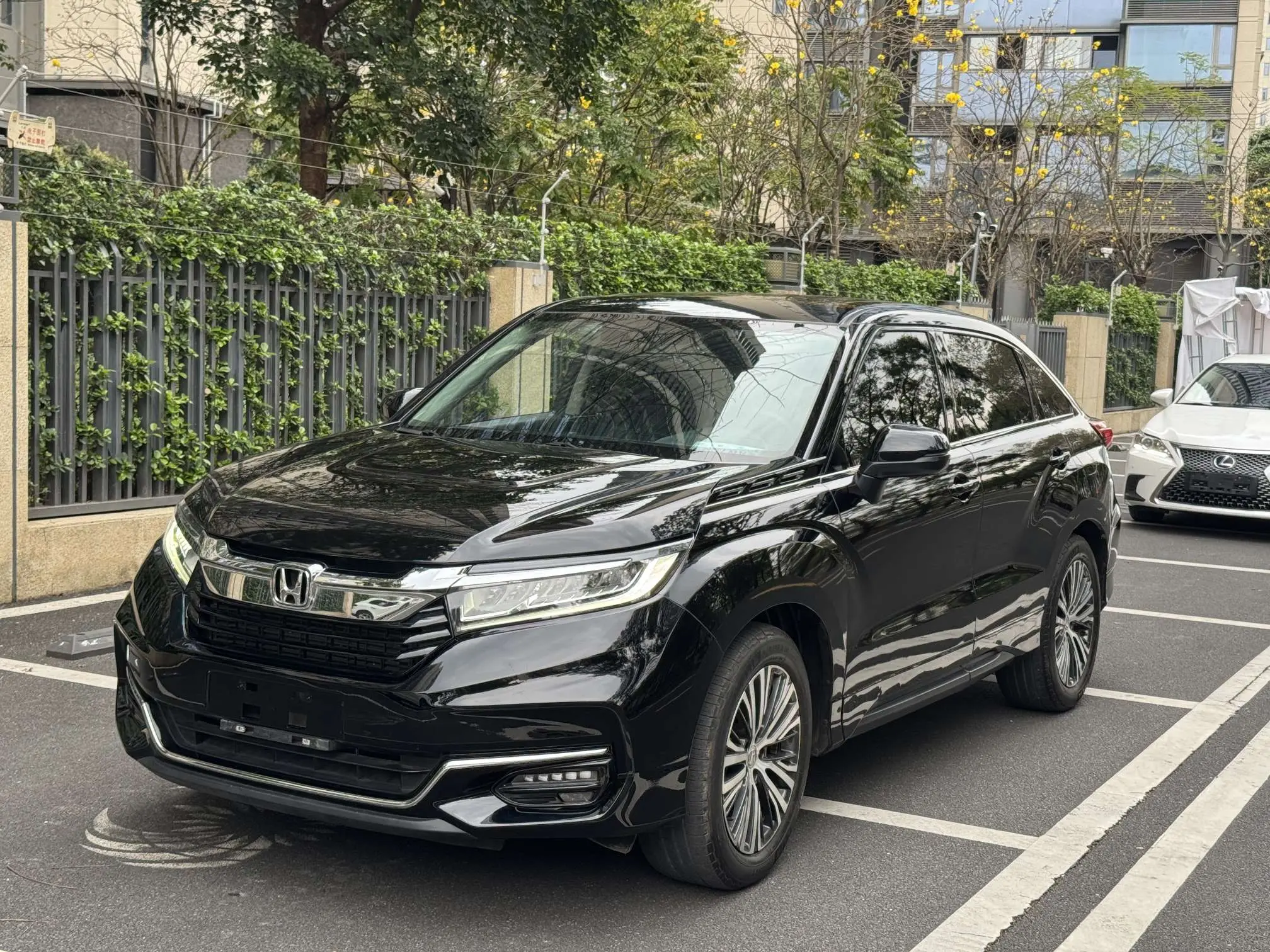 Honda Avancier (Crown Road)  из Китая