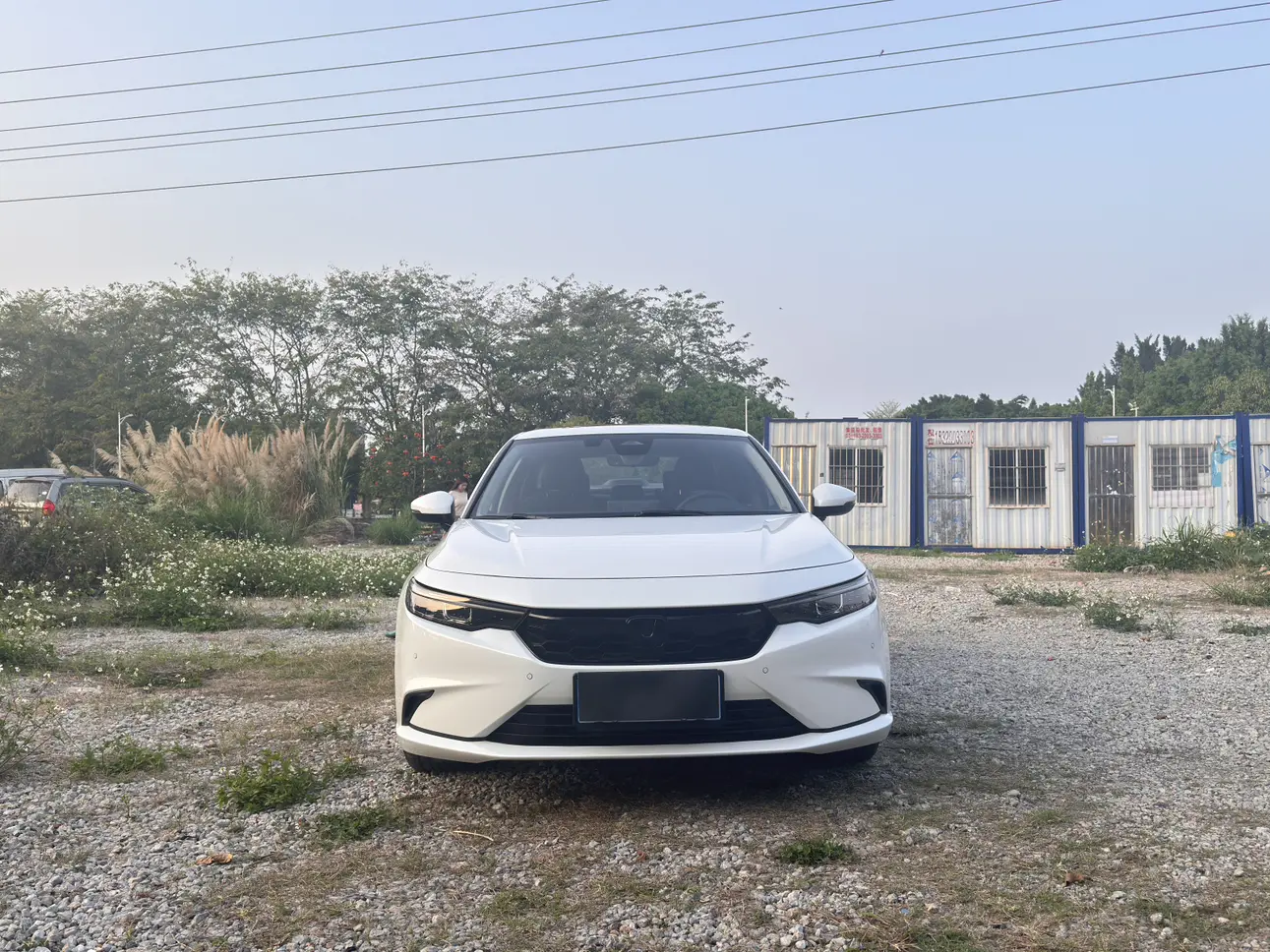 Honda Integra (Style)  из Китая