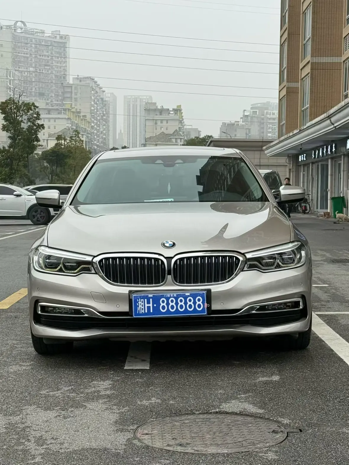 BMW 5 Series PHEV  из Китая