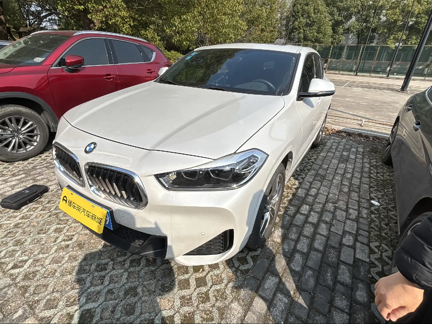 BMW X2