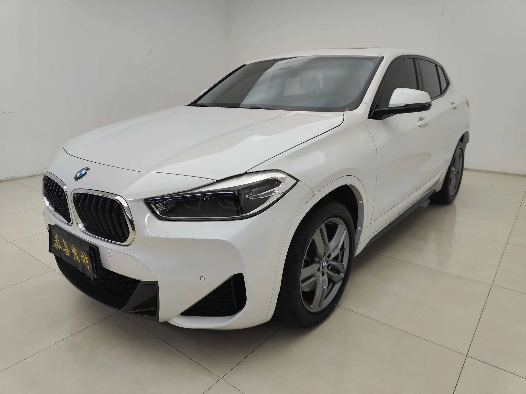 BMW X2