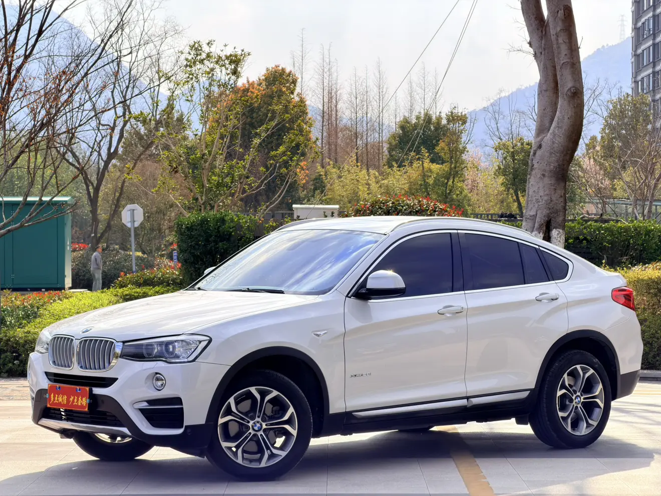 BMW X4