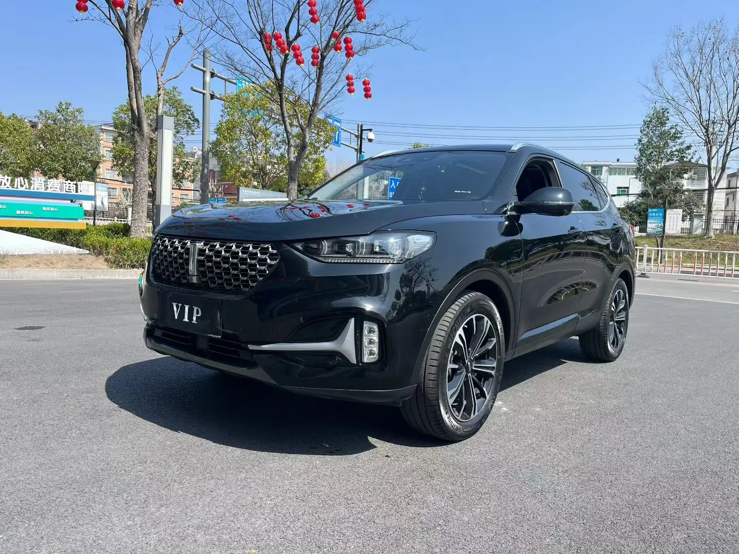 Wey Wei brand VV6