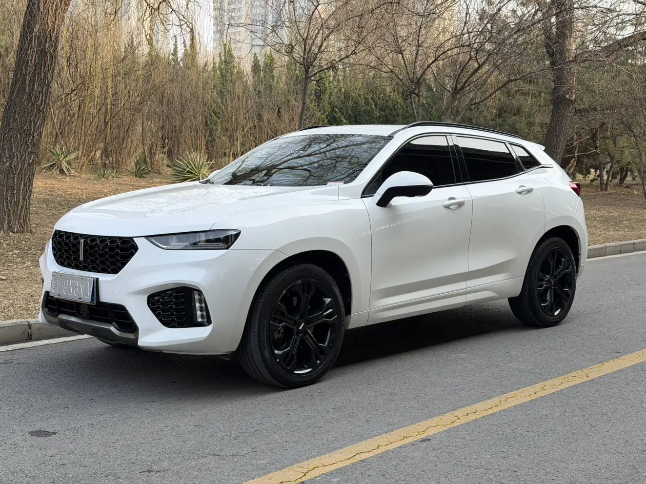 Wey Wei brand VV7