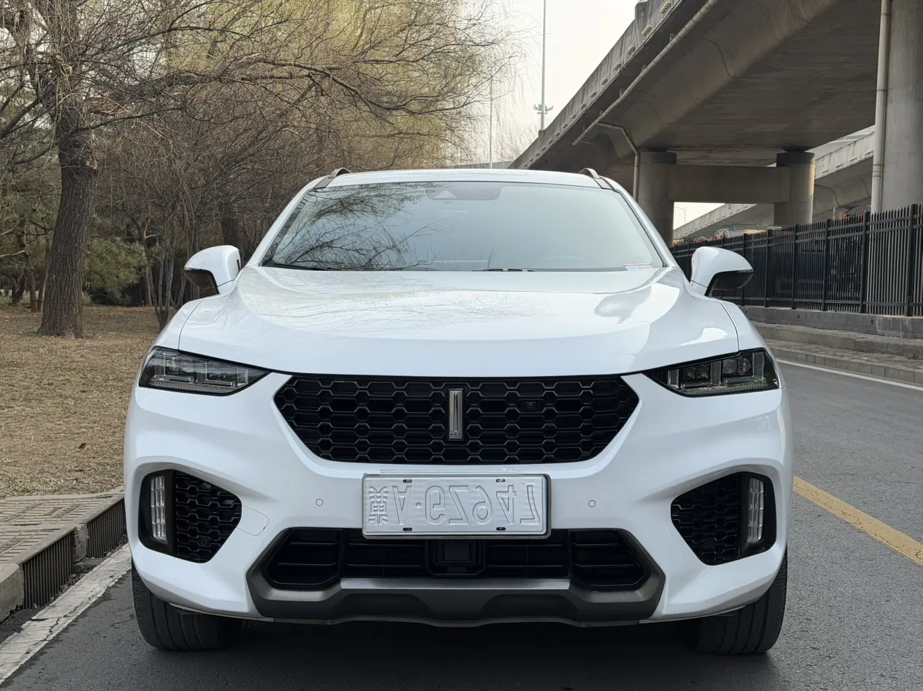 Wey Wei brand VV7