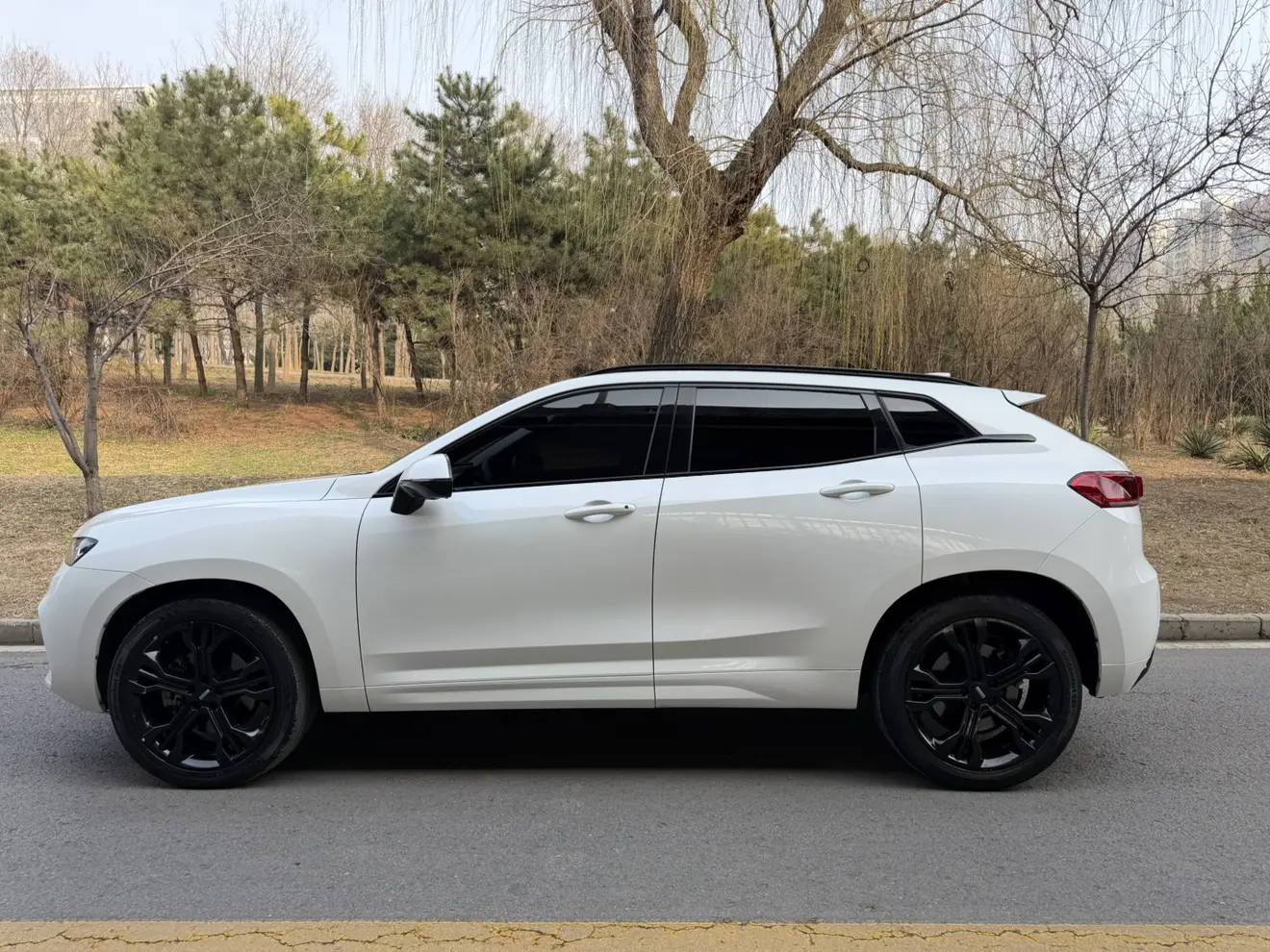 Wey Wei brand VV7