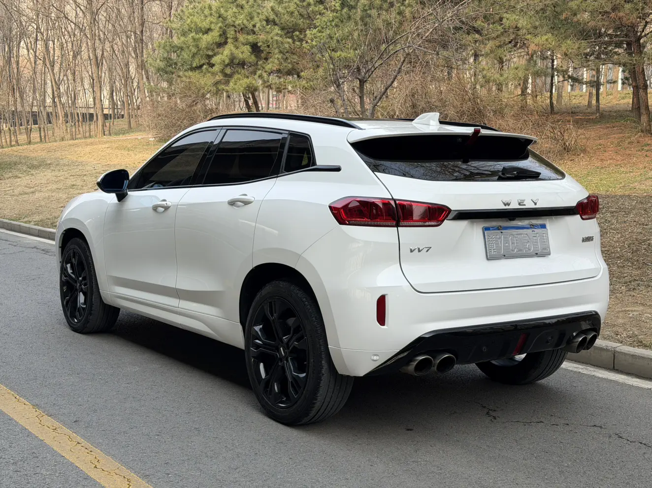 Wey Wei brand VV7