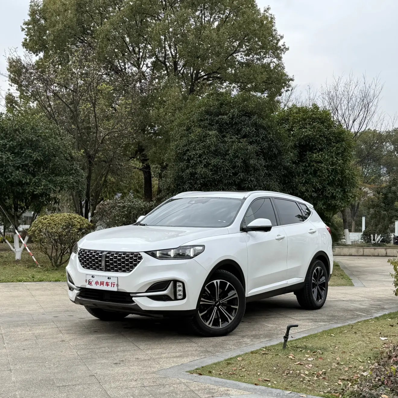 Wey Wei brand VV6