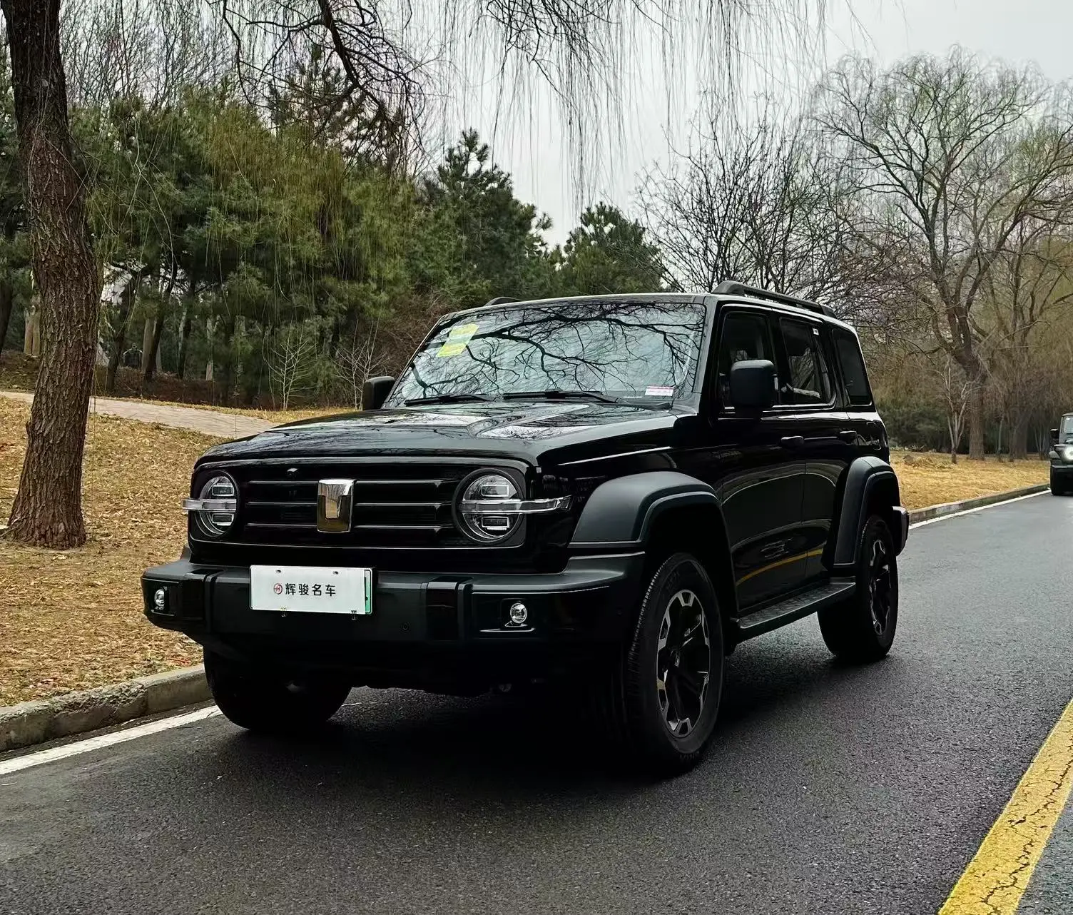 Tank 300 Hi4-T  из Китая