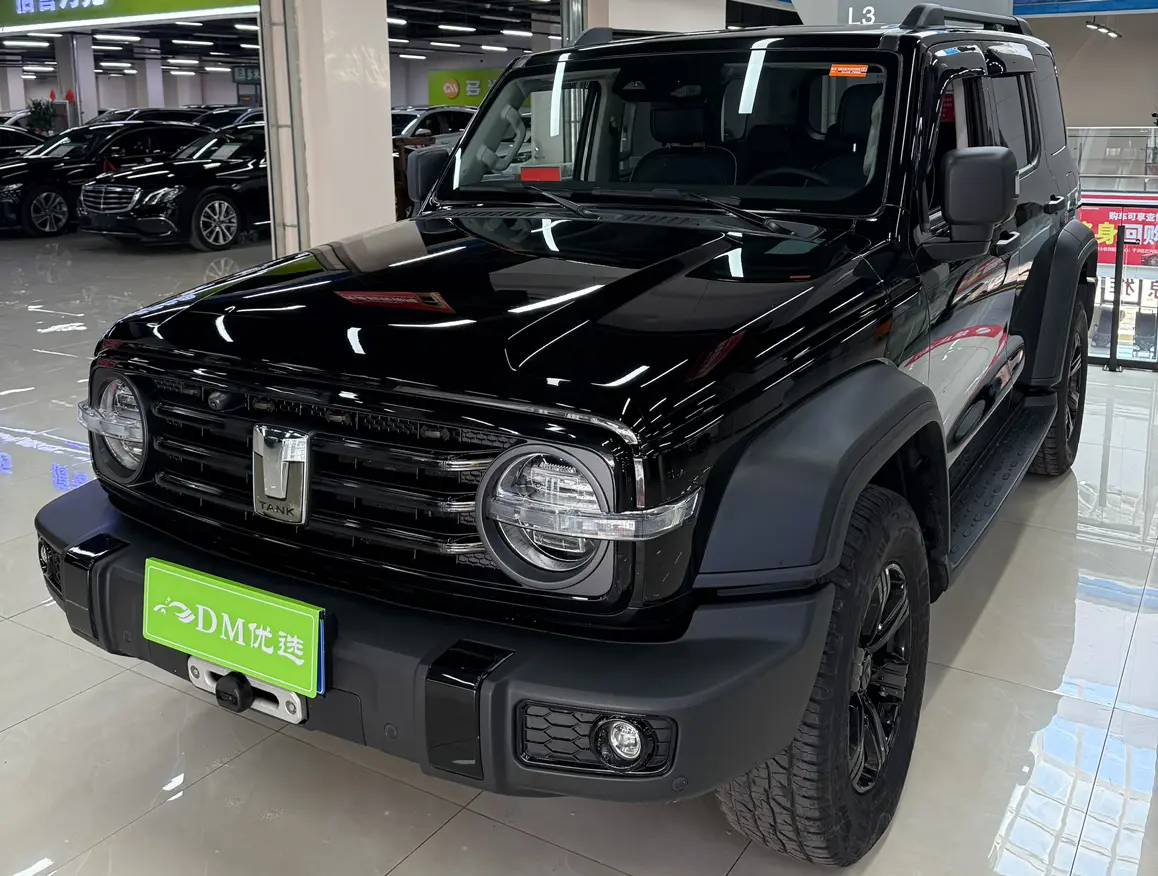 Tank 300