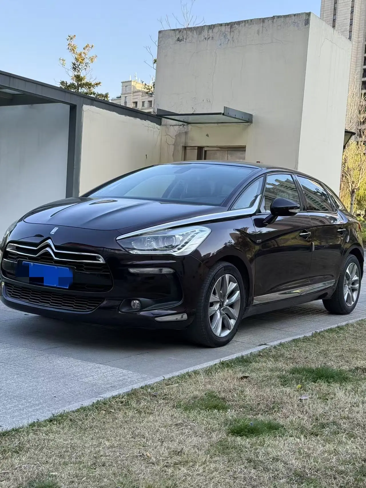 DS 5  из Китая