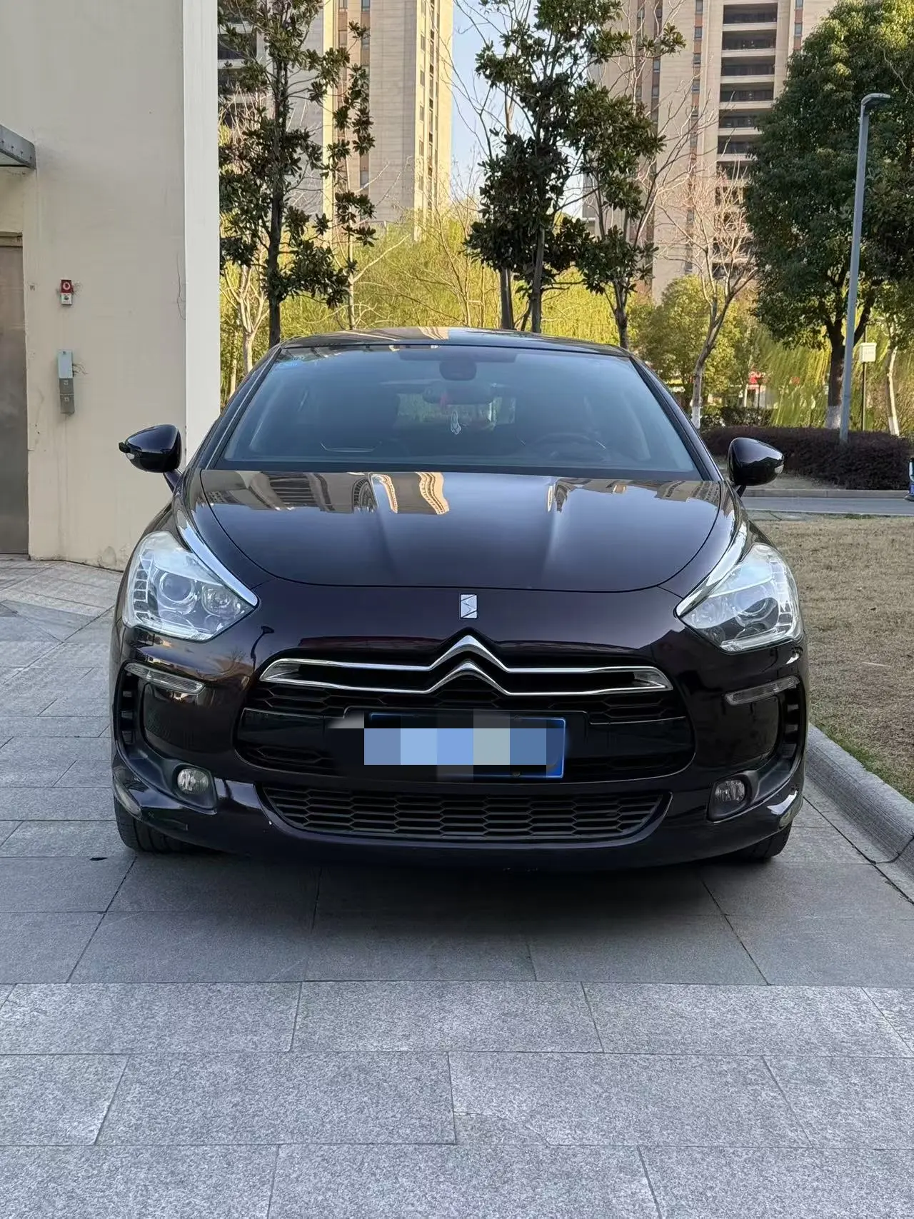 DS 5  из Китая