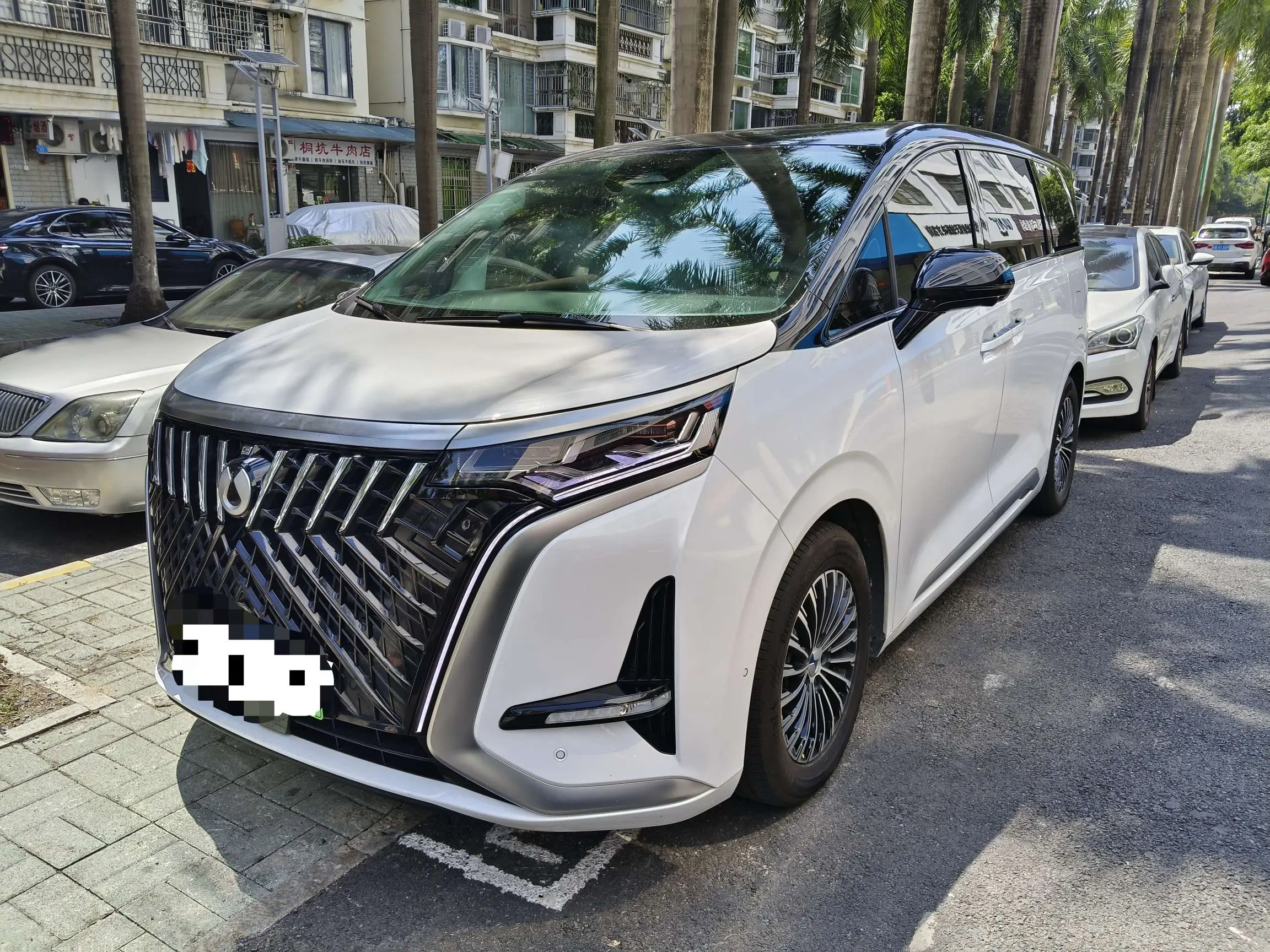 Denza D9 DM