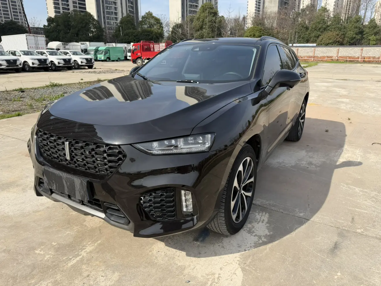 Wey Wei brand VV7
