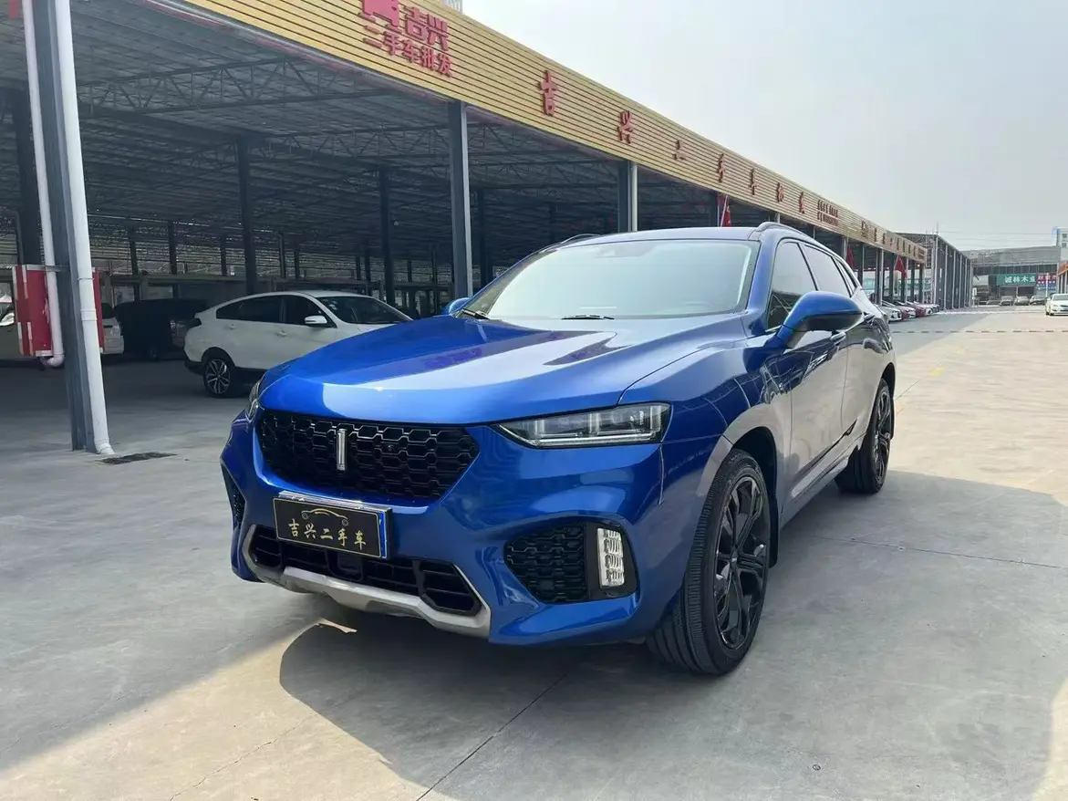 Wey Wei brand VV7