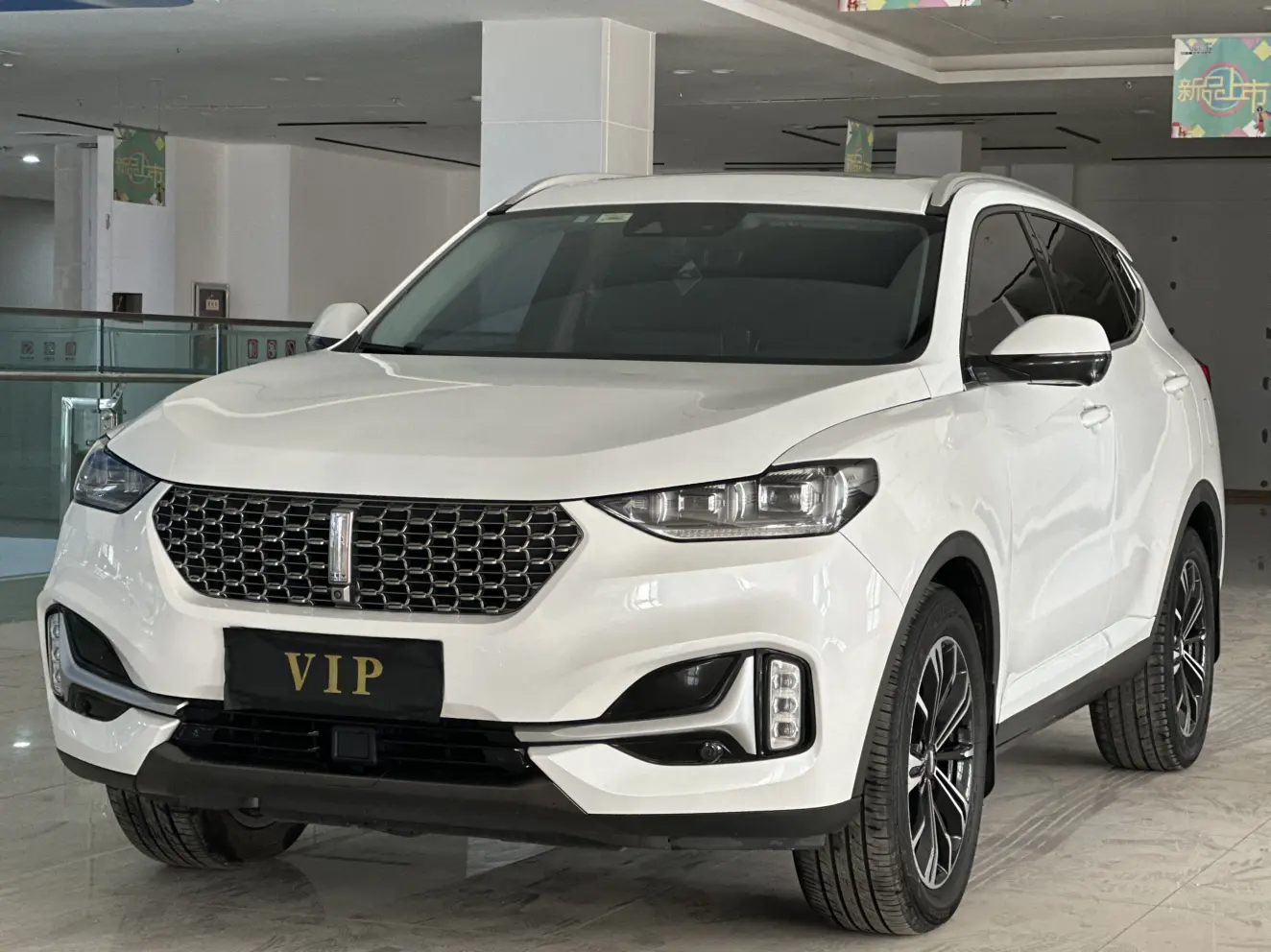 Wey Wei brand VV6