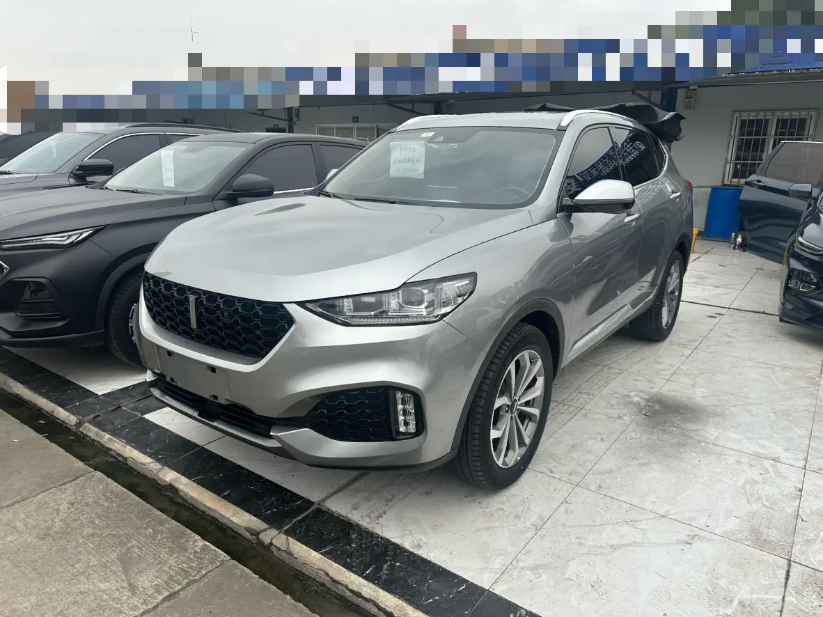 Wey Wei brand VV6
