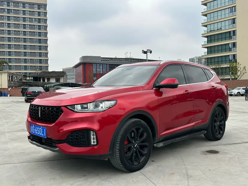 Wey Wei brand VV6