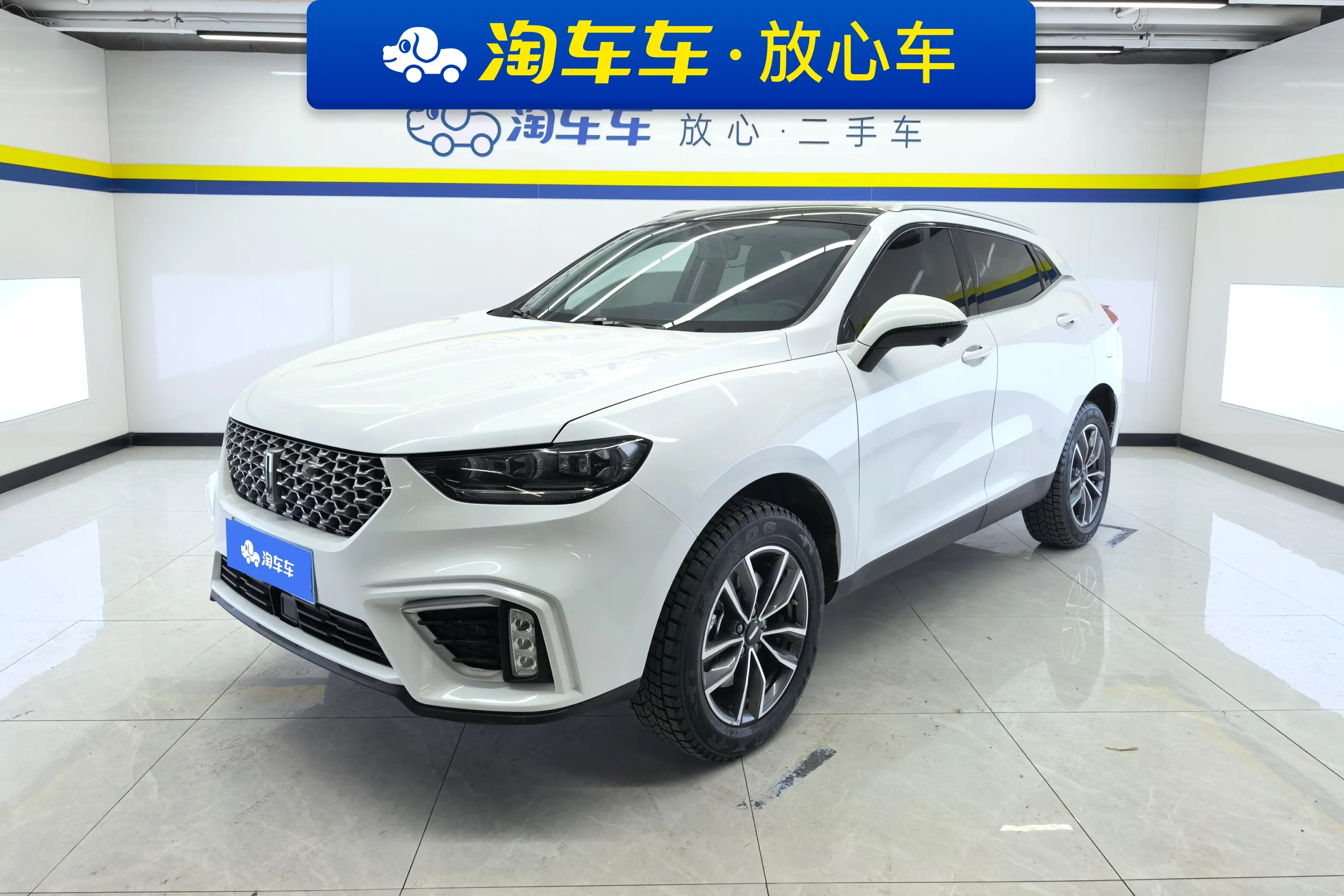 Wey Wei brand VV5
