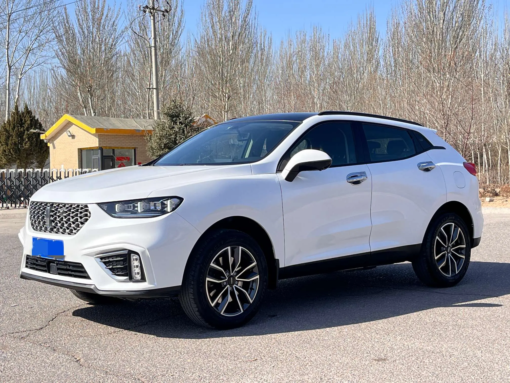 Wey Wei brand VV5