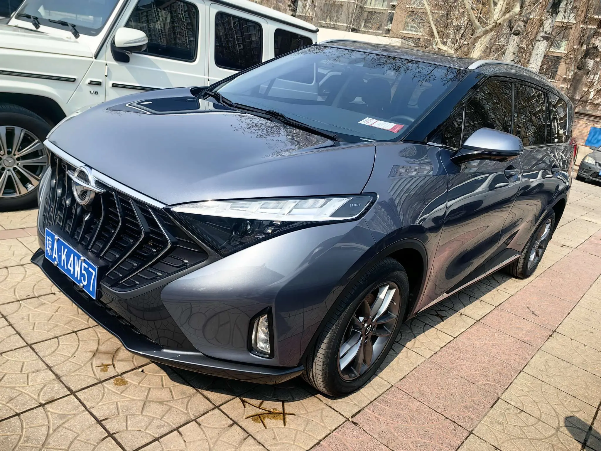 HAIMA Haima 7X
