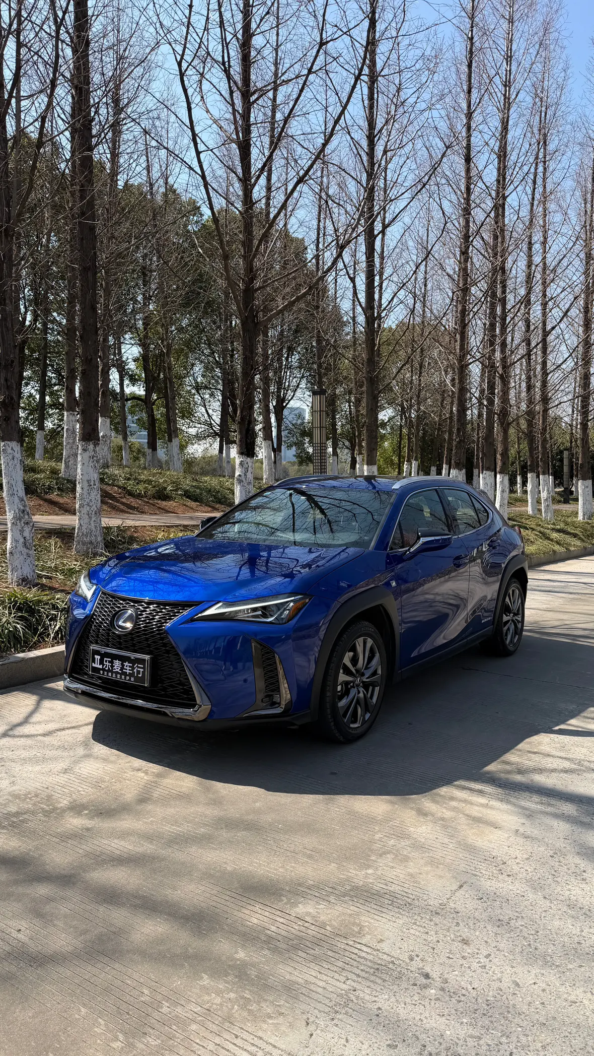 Lexus UX
