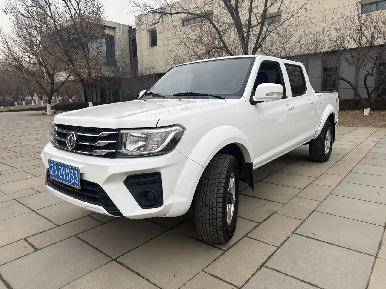 Dongfeng Ruiqi