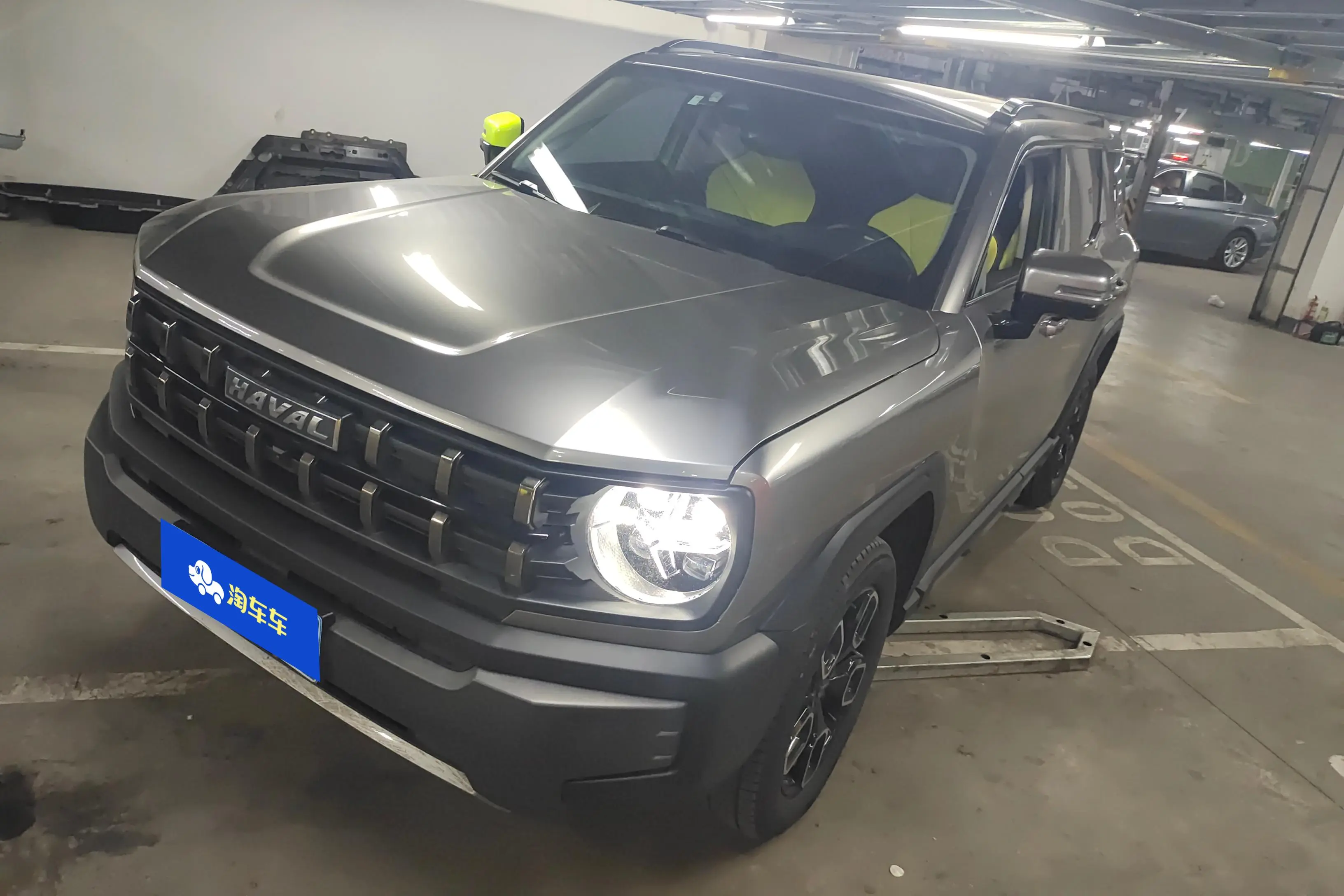 Haval cool dog