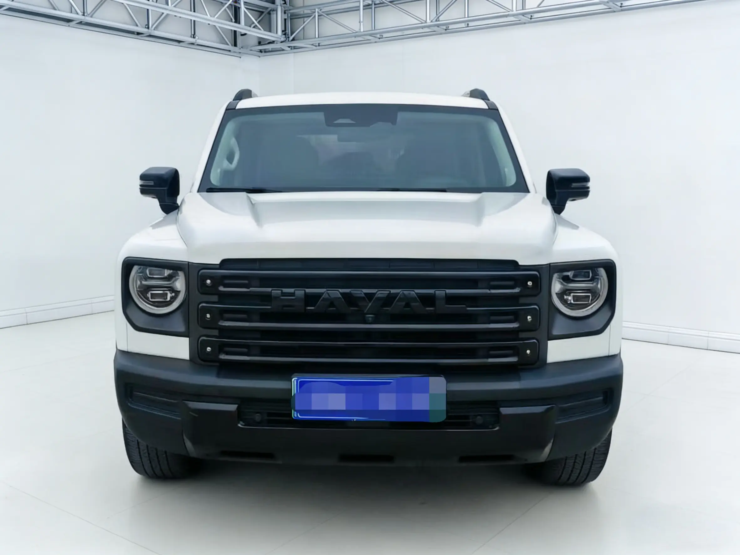 Haval Raptors PHEV  из Китая