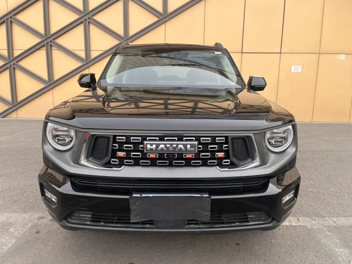 Haval Big Dog PLUS  из Китая