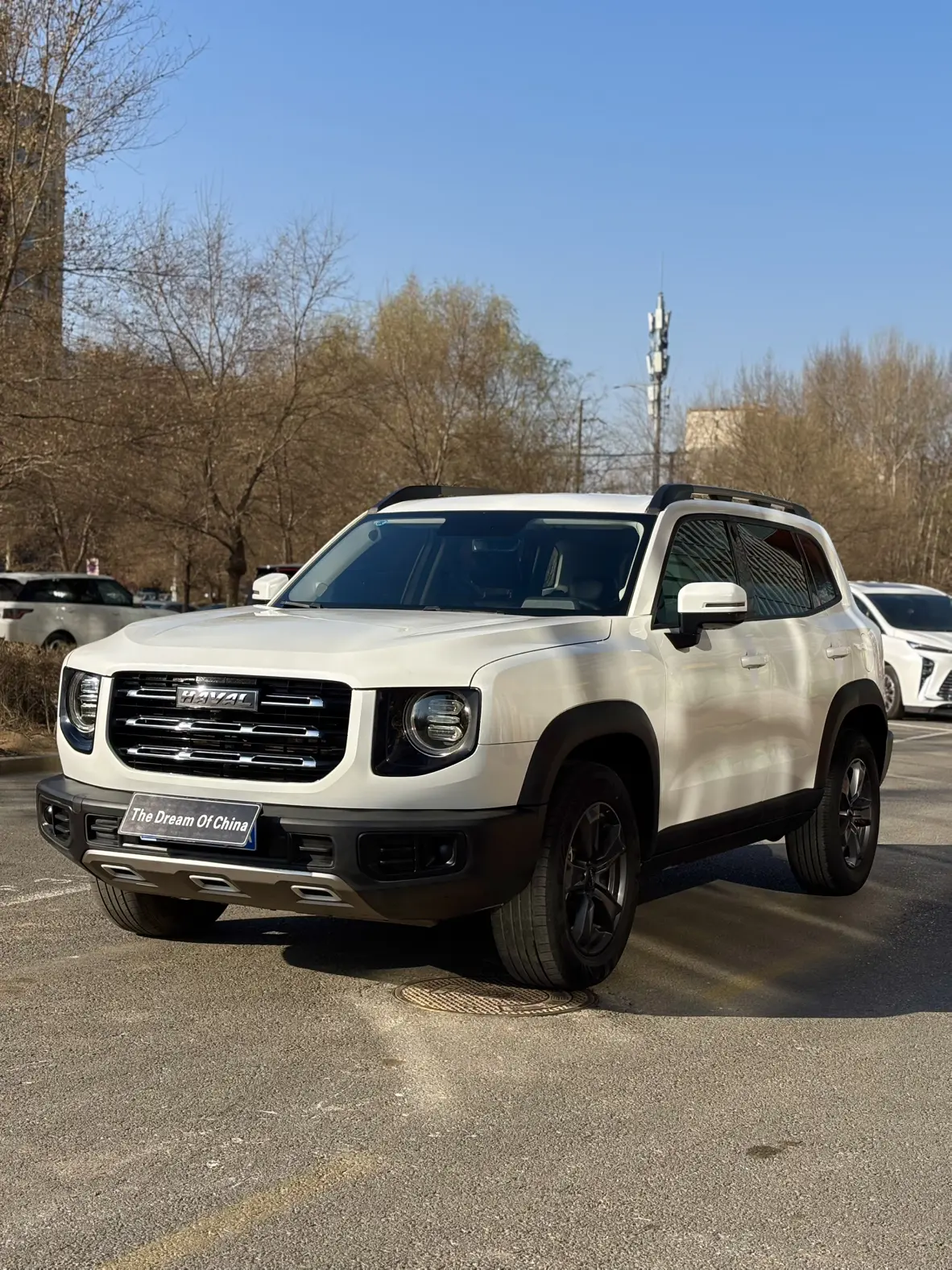 Haval Dargo  из Китая