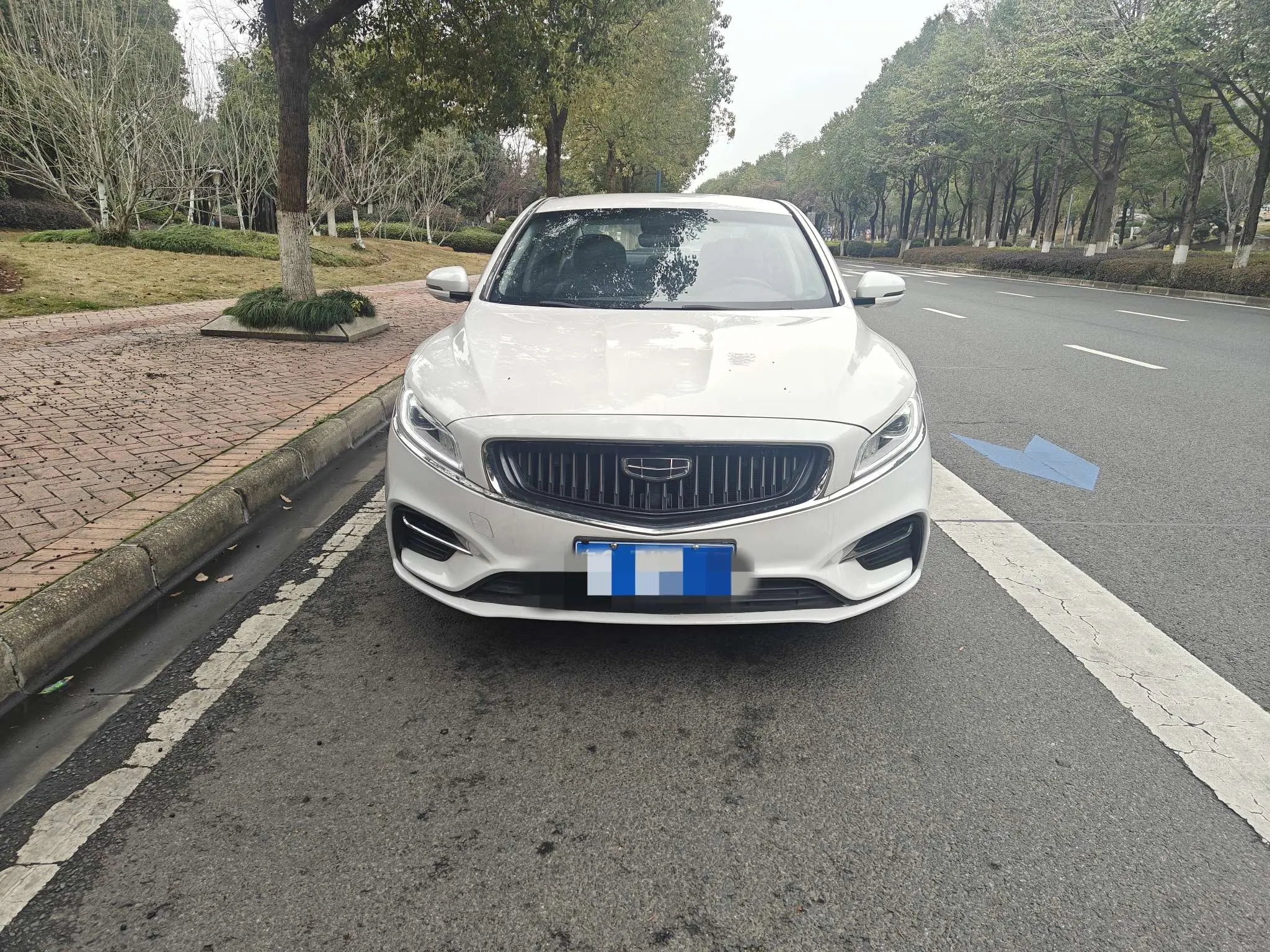 Geely Borui  из Китая