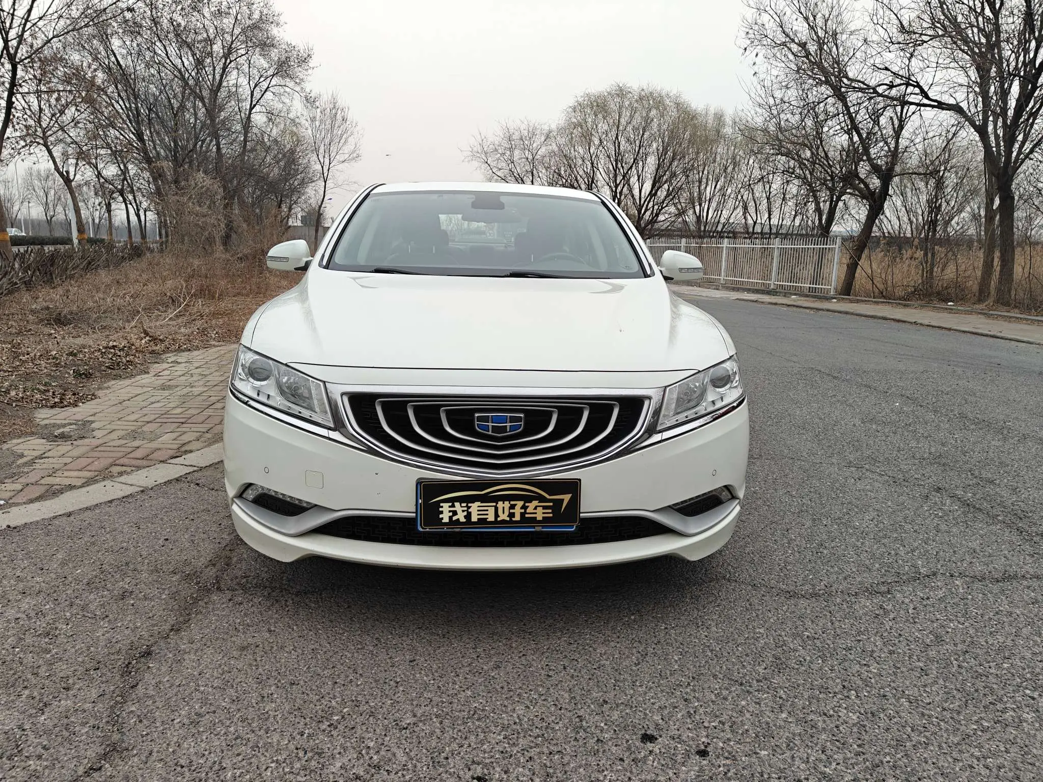 Geely Borui  из Китая