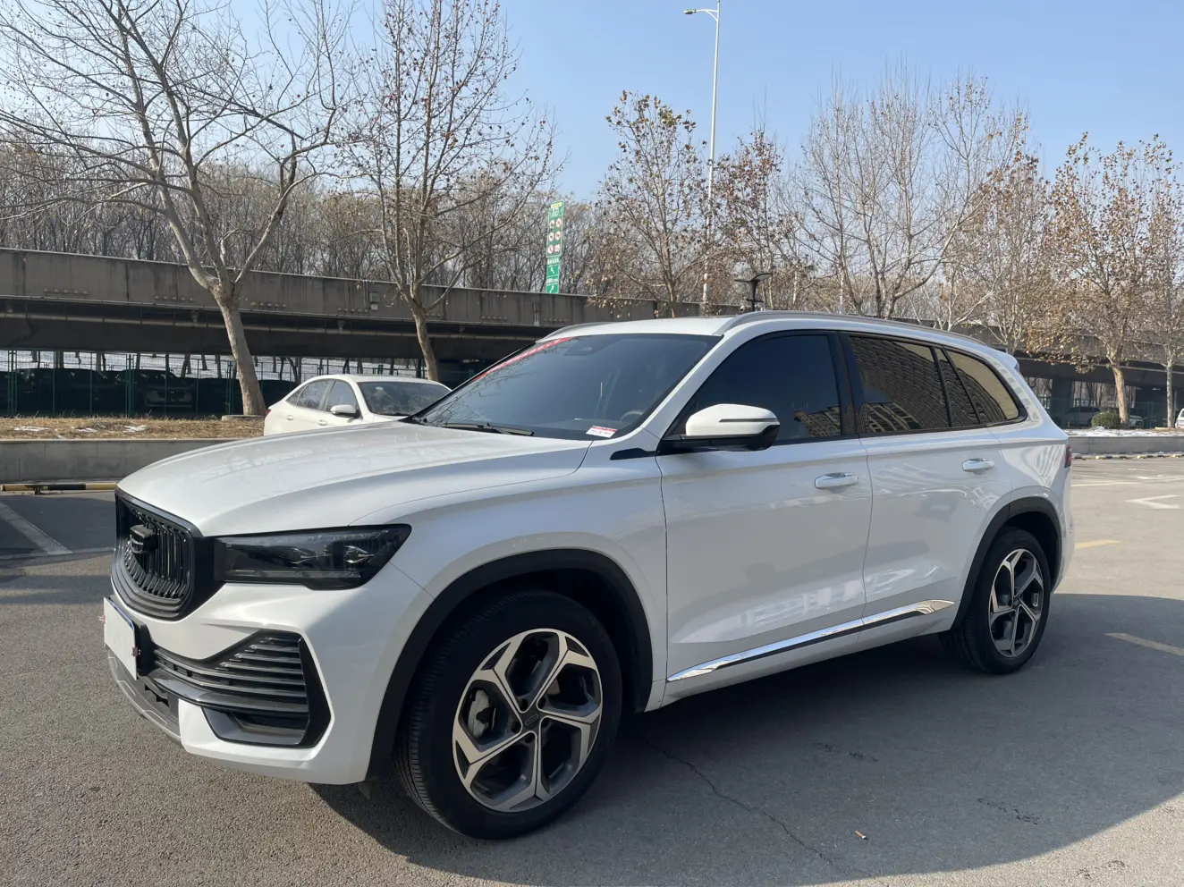 Geely Monjaro (Xingyue L)  из Китая