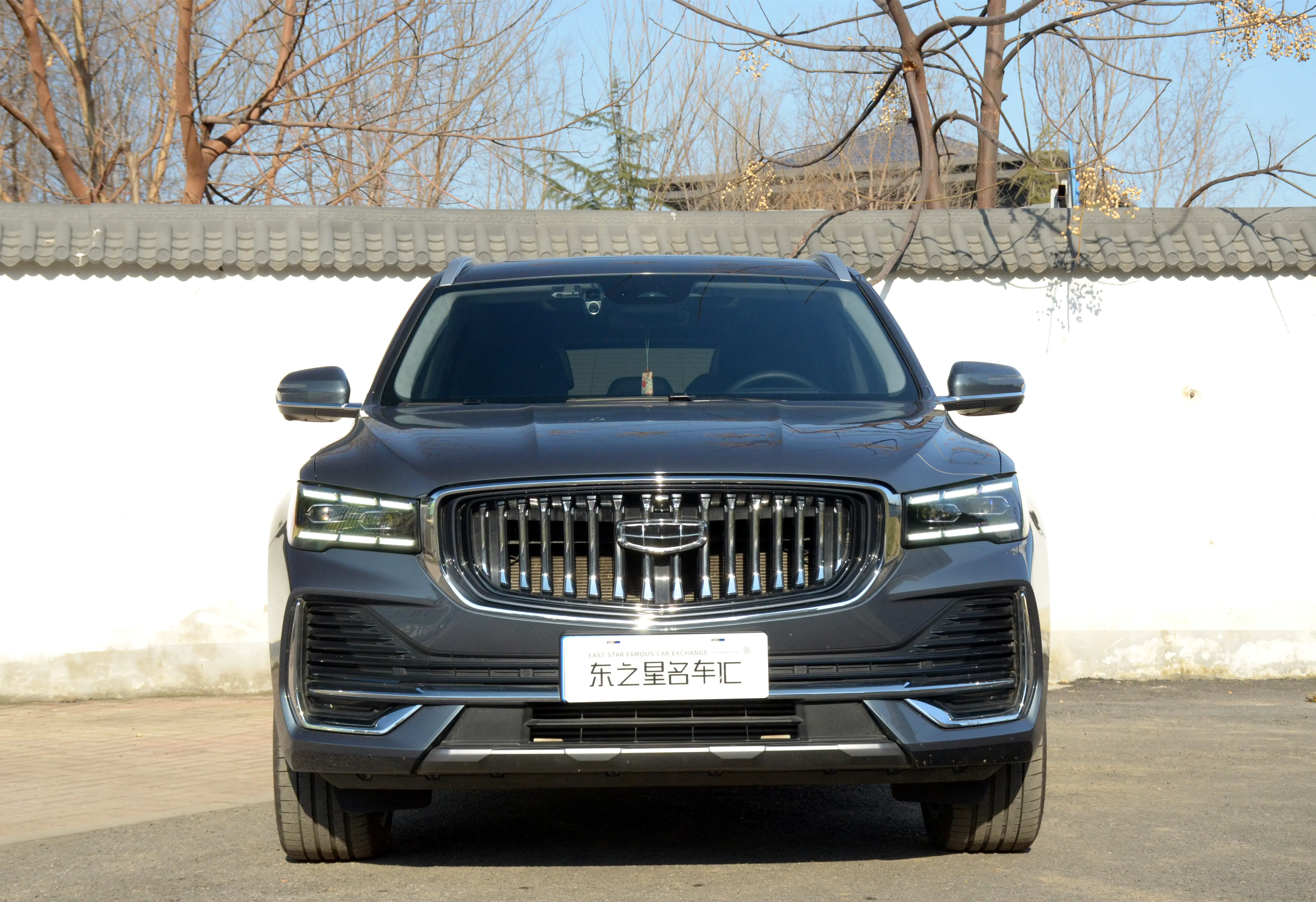 Geely Monjaro (Xingyue L)  из Китая