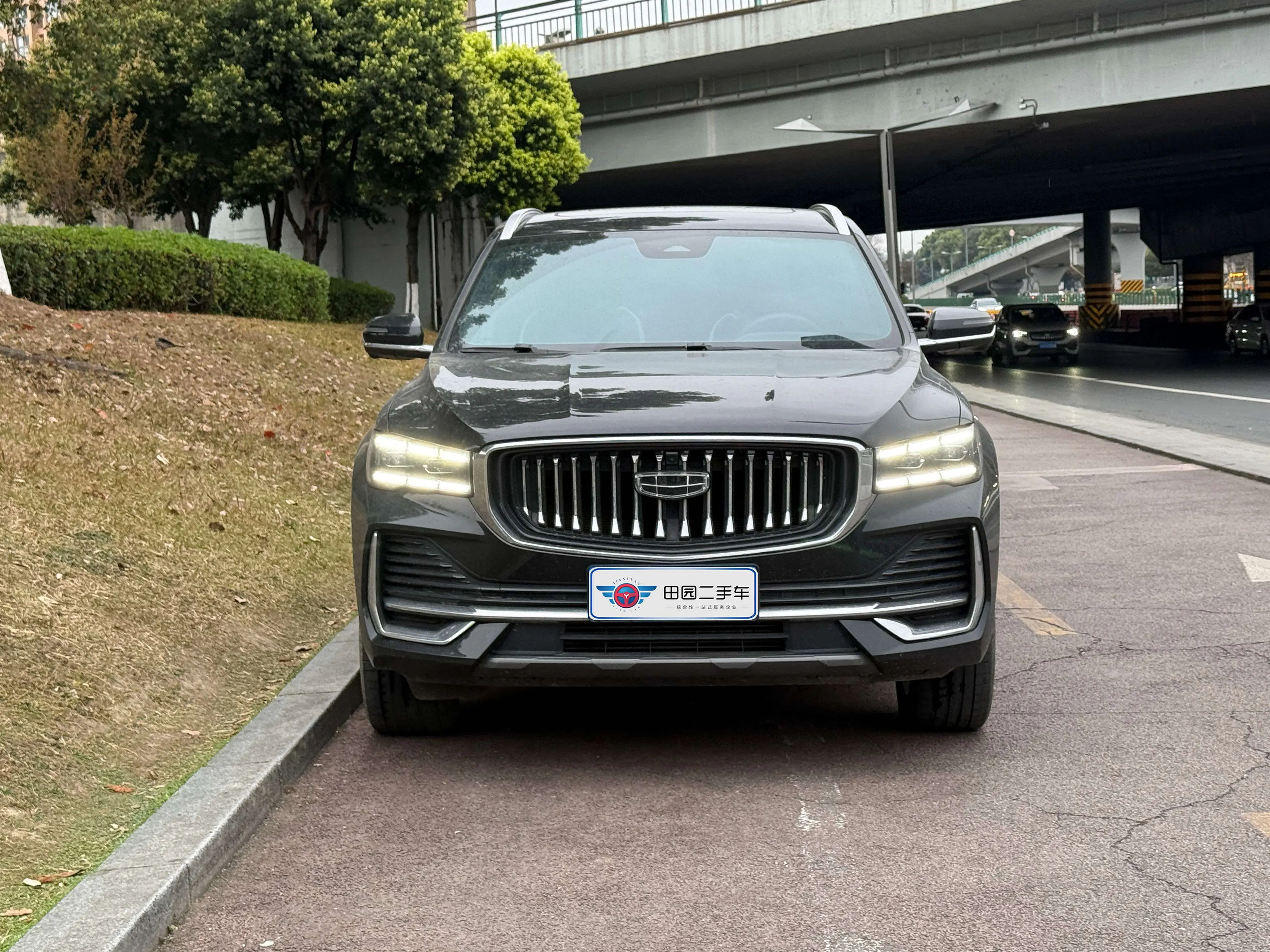 Geely Monjaro (Xingyue L)  из Китая