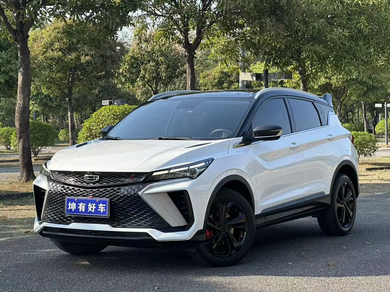 Geely Coolray SX11 (Binyue)  из Китая