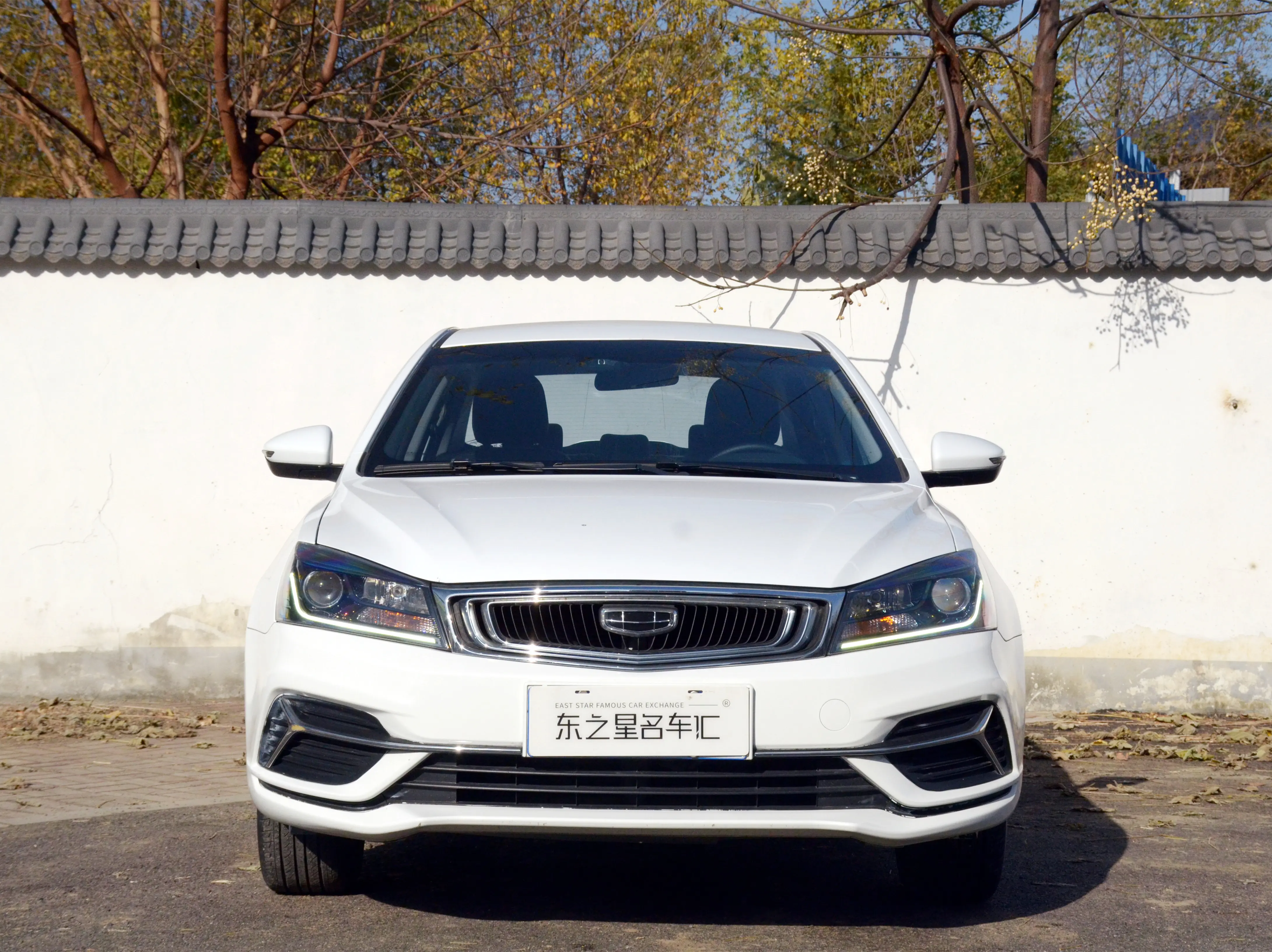 Geely Emgrand  из Китая