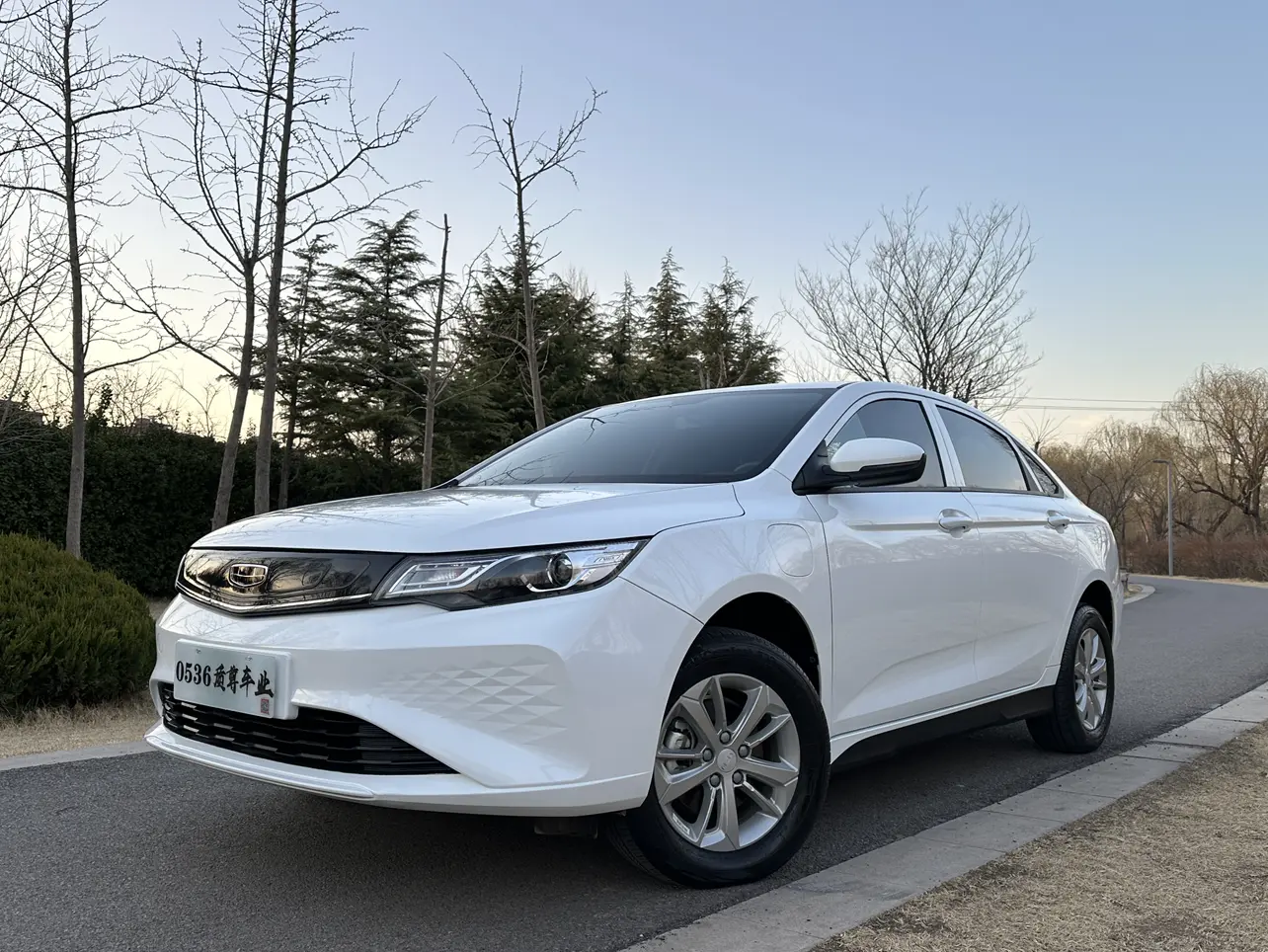 Geely Emgrand  из Китая