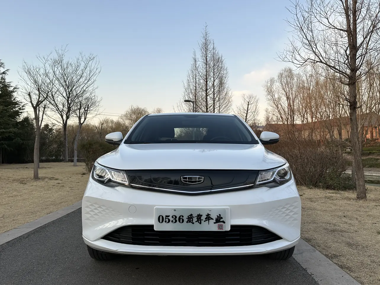 Geely Emgrand  из Китая