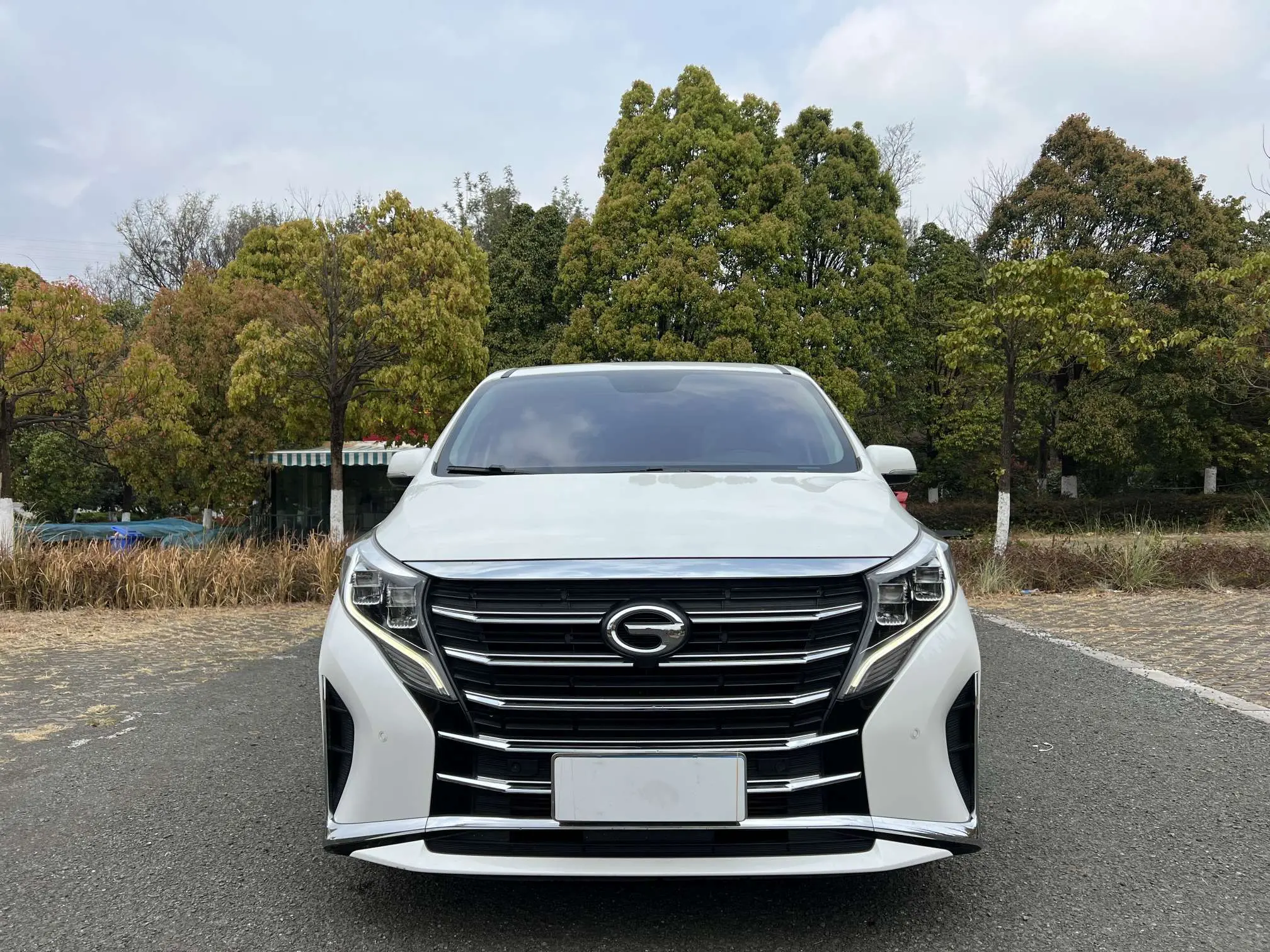 GAC Trumpchi M8  из Китая
