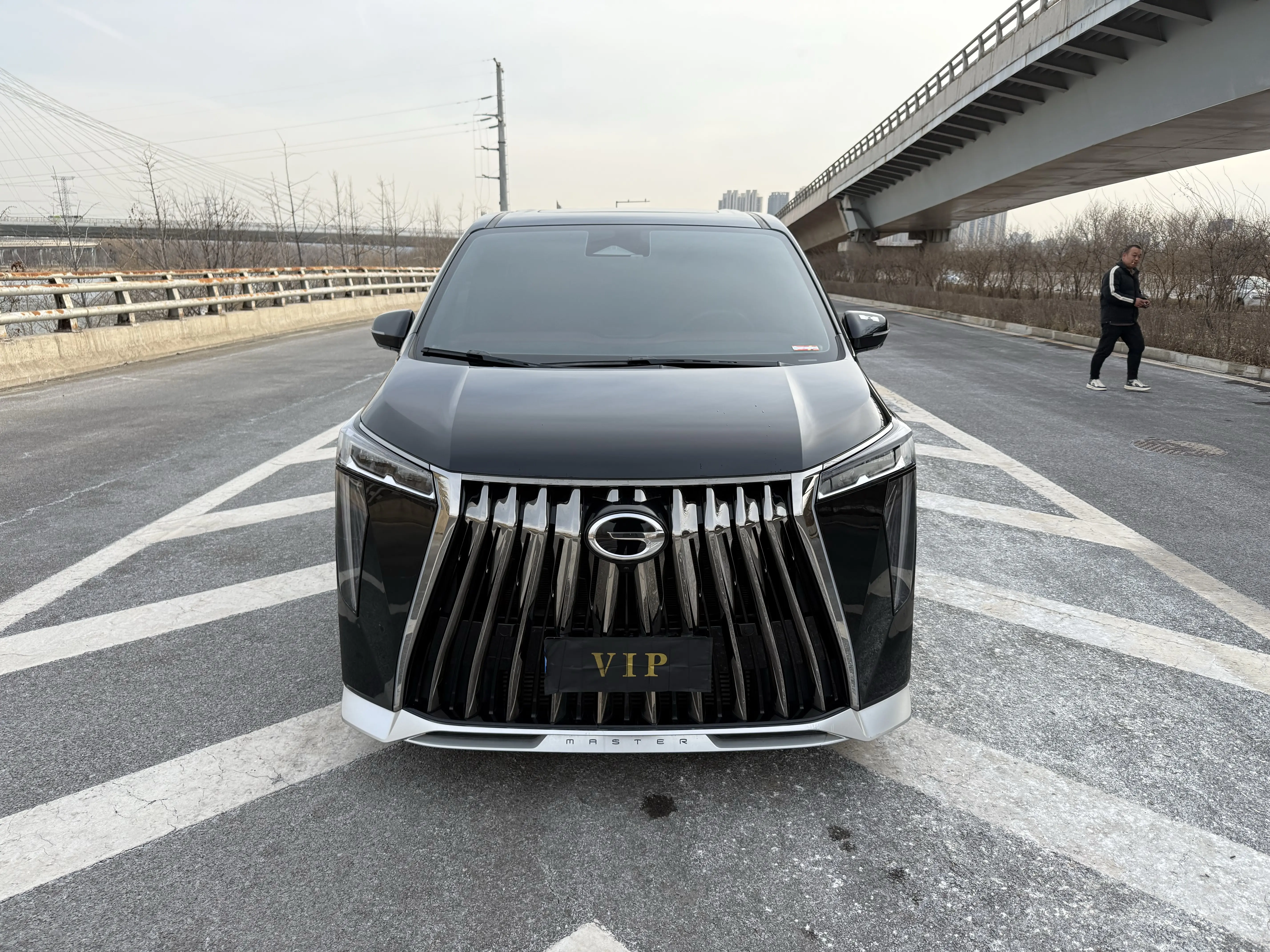 GAC Trumpchi M8  из Китая