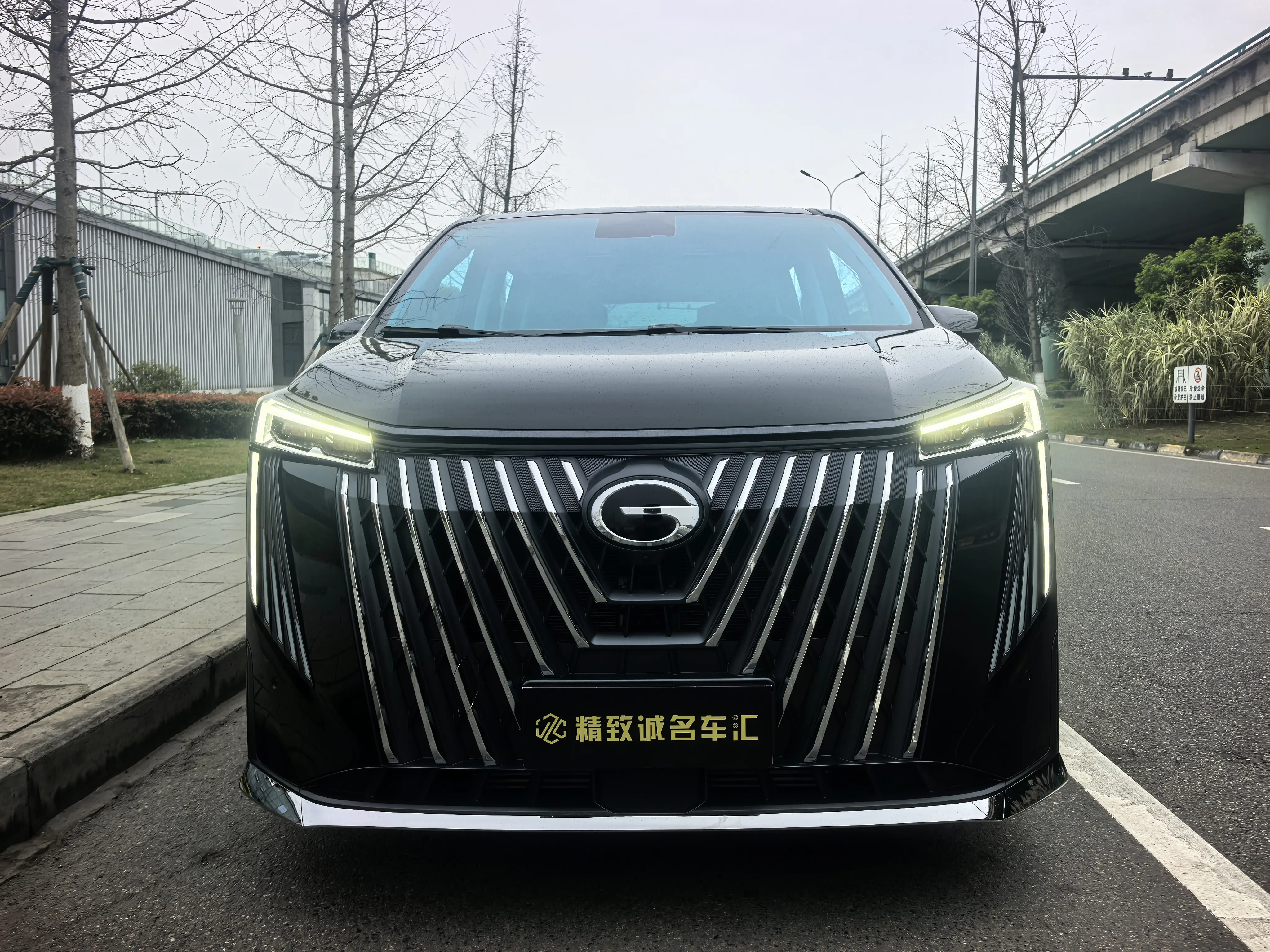 GAC Trumpchi M8  из Китая