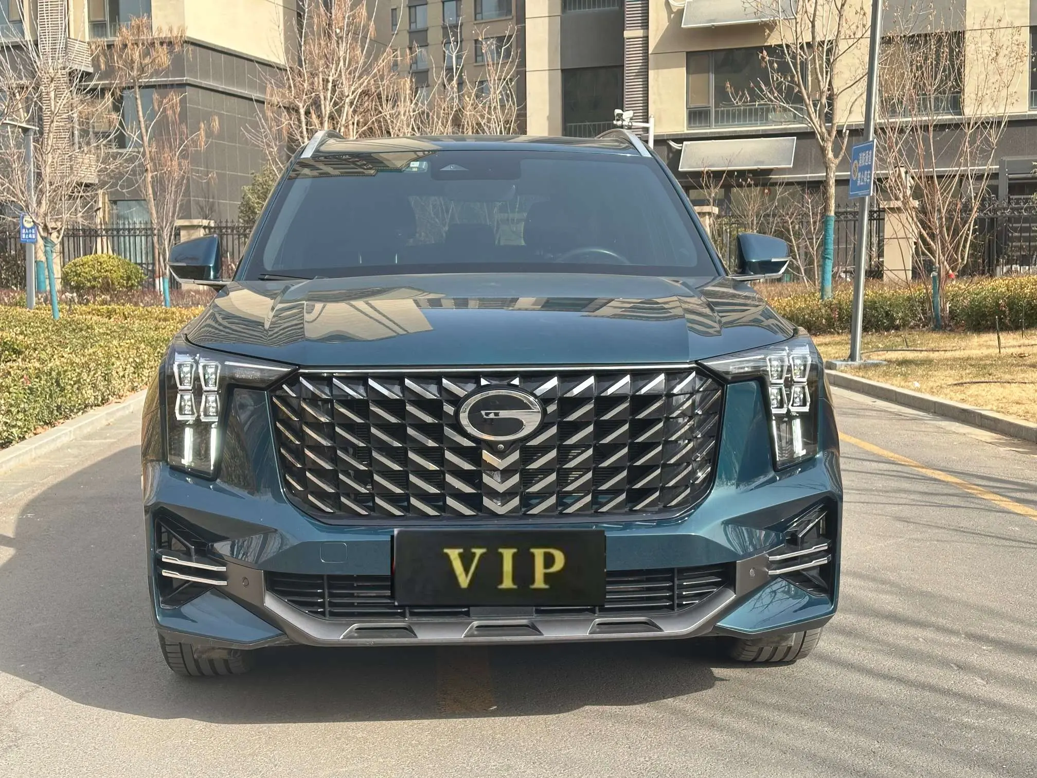 GAC Trumpchi GS8  из Китая