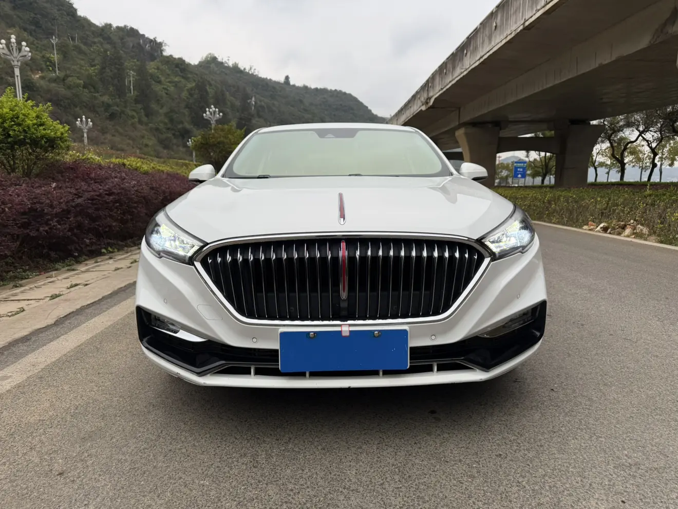 Hongqi H5 classic  из Китая