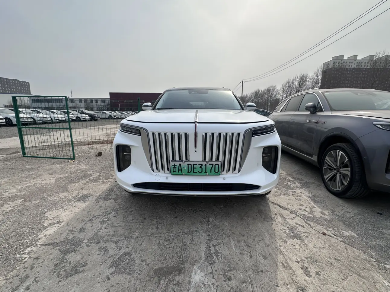 Hongqi E-HS9  из Китая