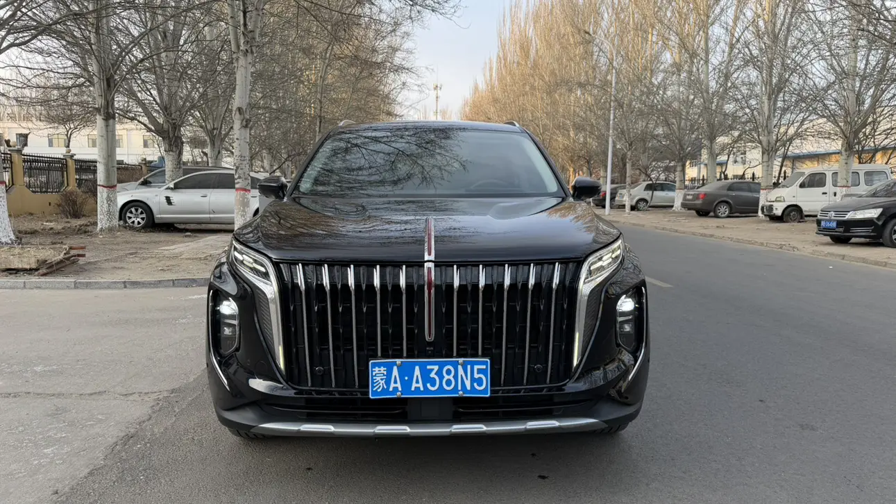 Hongqi HS7  из Китая